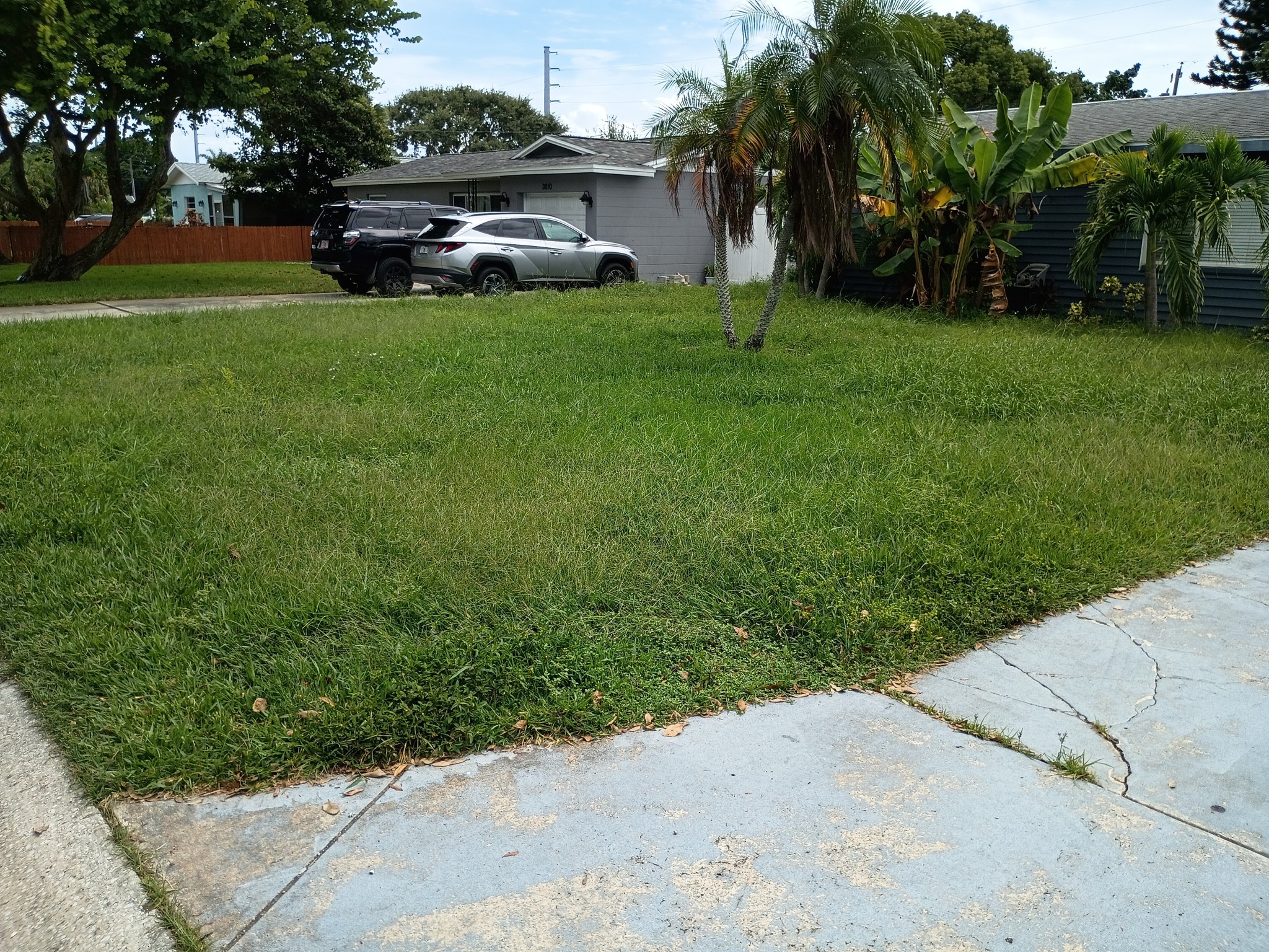 Extreme Makeover: Lawn Edition